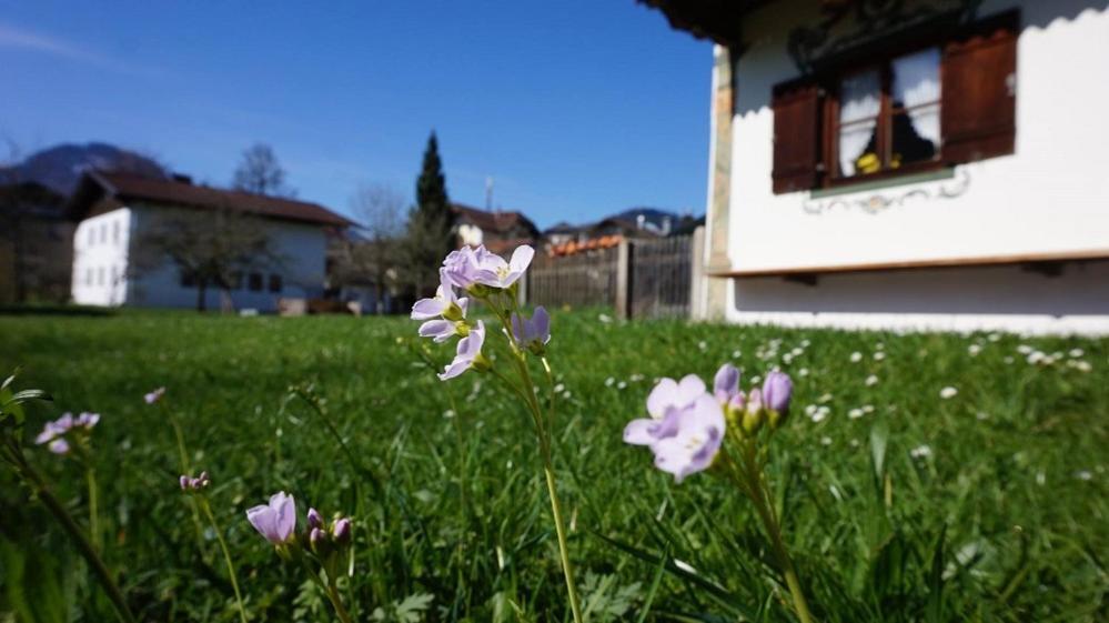 Pichler Mit Sauna * Ruhpolding
